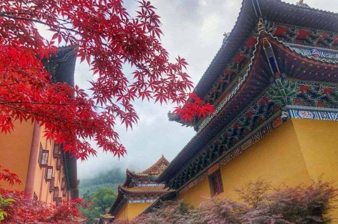 史纯印-史纯印老人的故事