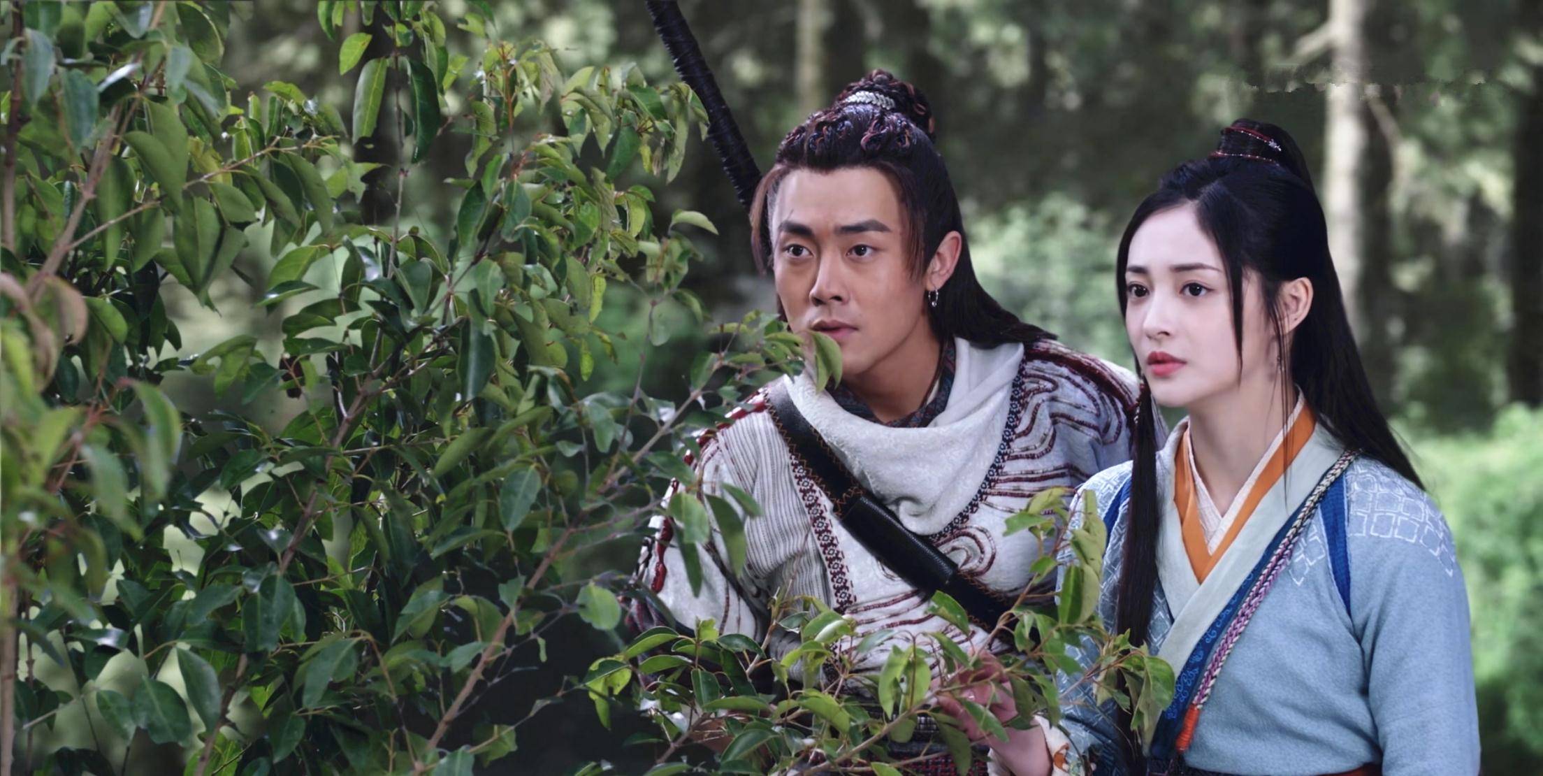 杨瑾_事情_显得