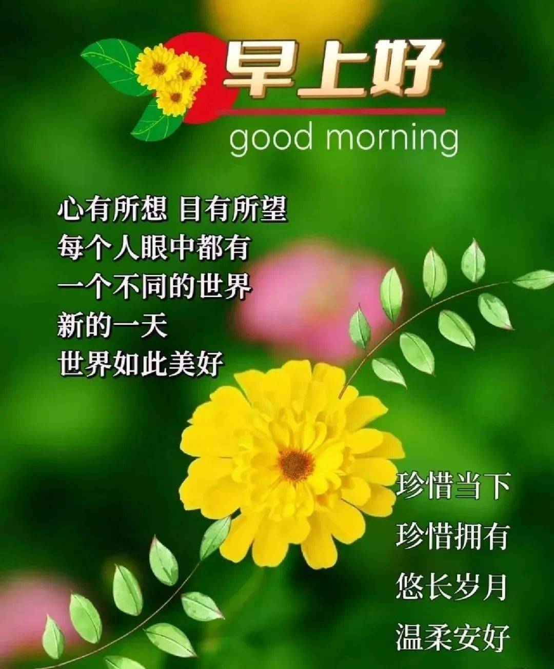 1月9日星期一早上好,精选周一早安祝福暖心图片带字问候语录