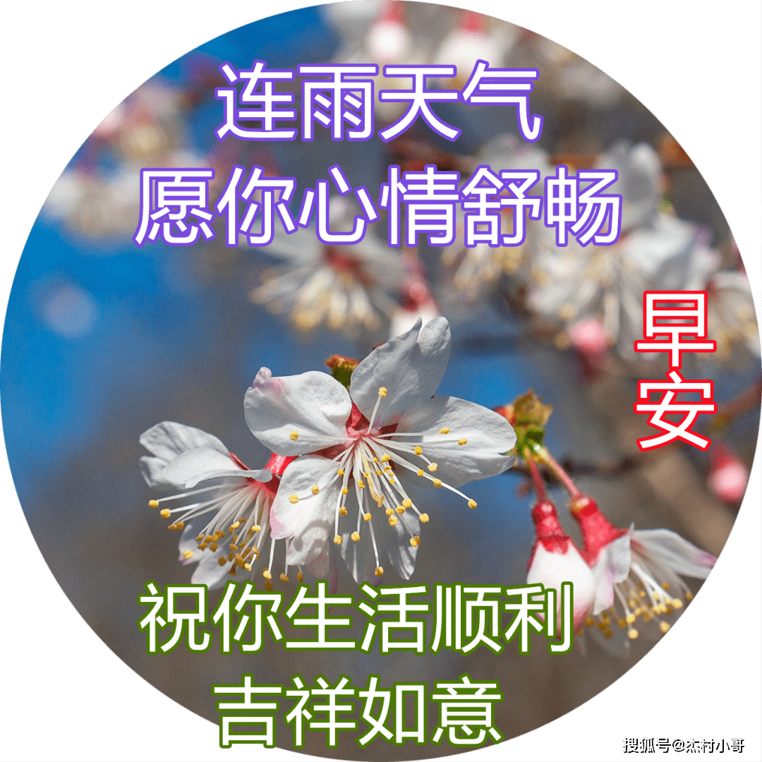 1月10日最美早上好动态图片带字 兔年最新漂亮早上好表情图片大全