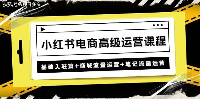 小红书电商高级运营课程:根底入门+商城流量运营+条记流量运营