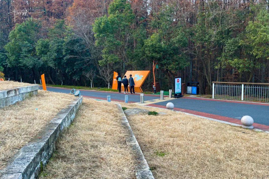 八百里村和青山湖绿道紧密相连,沿途的湖光山色或者竹林小道风景都