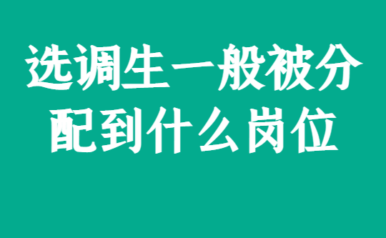 選調生一般被分配到什麼崗位_工作_街道_編制