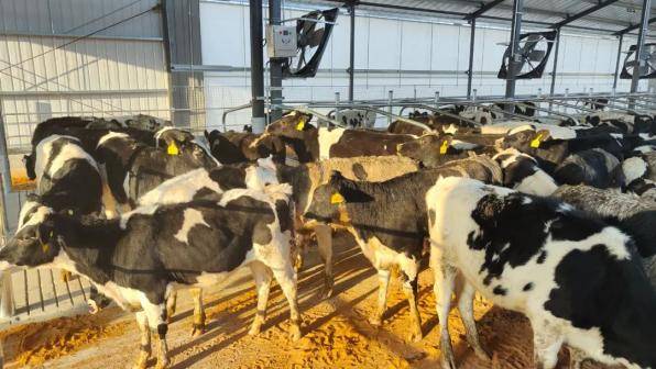 优然牧业与伊利协同效应分析报告