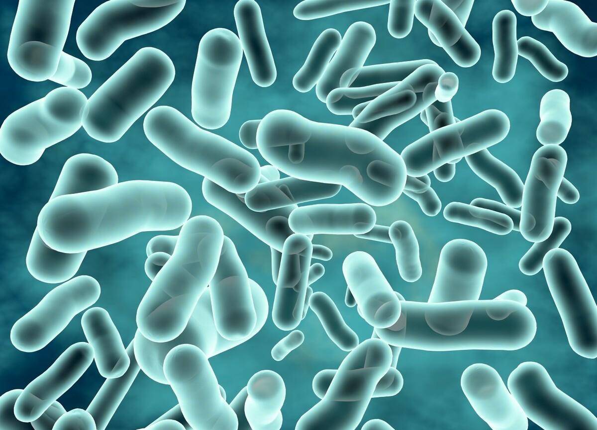 短双歧杆菌m-16v:过敏宝宝,早产宝宝的特殊守护