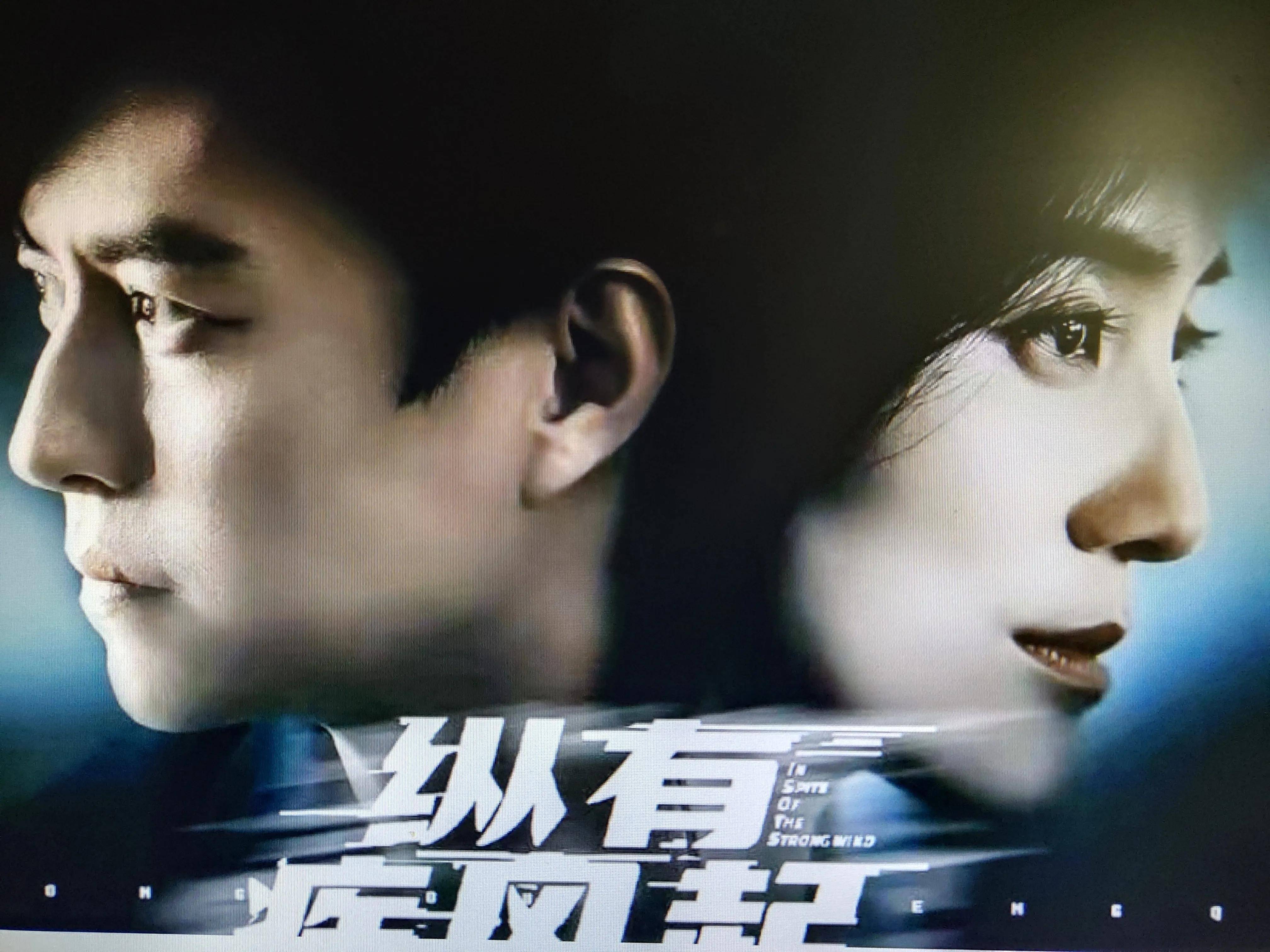 目前情感职场的电视剧普遍受观众的欢迎,因此《纵有疾风起》具备了与