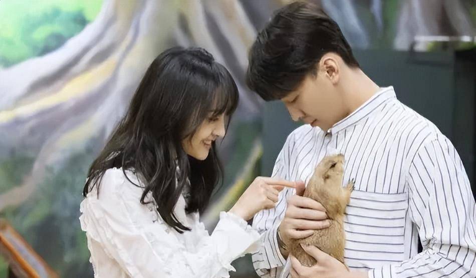 细数郑爽历任男友,张翰最意难平,胡彦斌最委屈,张恒最纠缠不清_感情