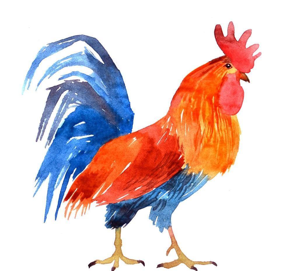 关于疾病治疗和疫苗的怪诞故事学校发的疫苗被鸡吃了_医生_脖子_同学