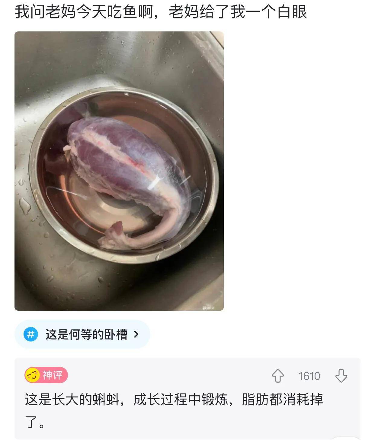 ‬我不理解但我大受震撼
