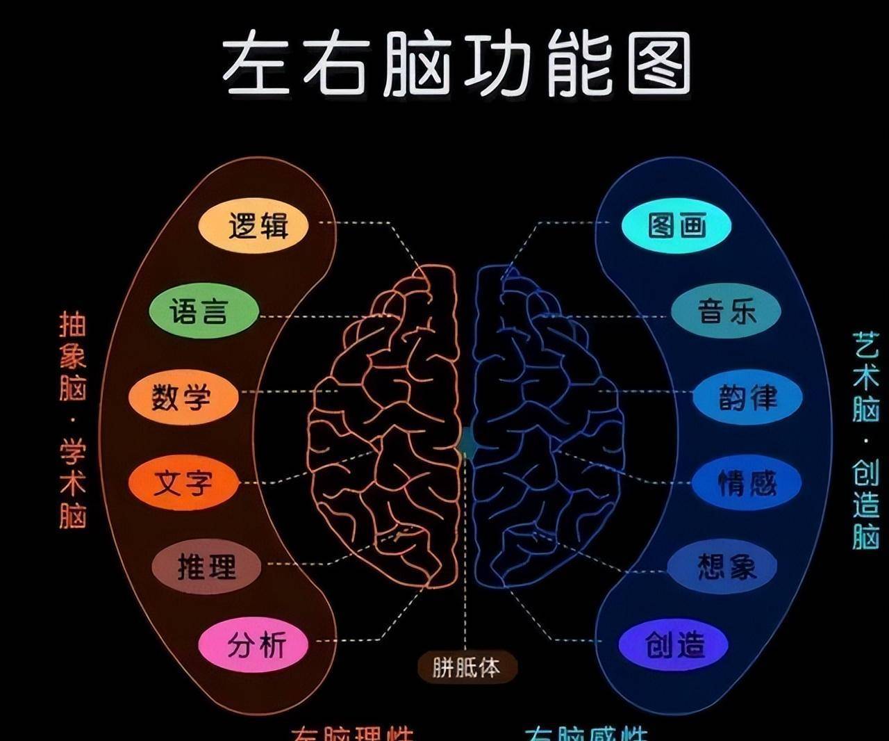 左脑的优势是拥有语言中枢,主管语言,逻辑,分析,数学思维和认知能力