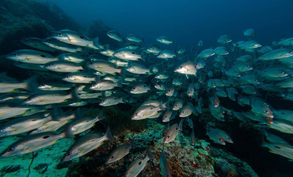 千年前的北海,神秘的贝加尔湖,鱼种虽富饶但征服它不简单