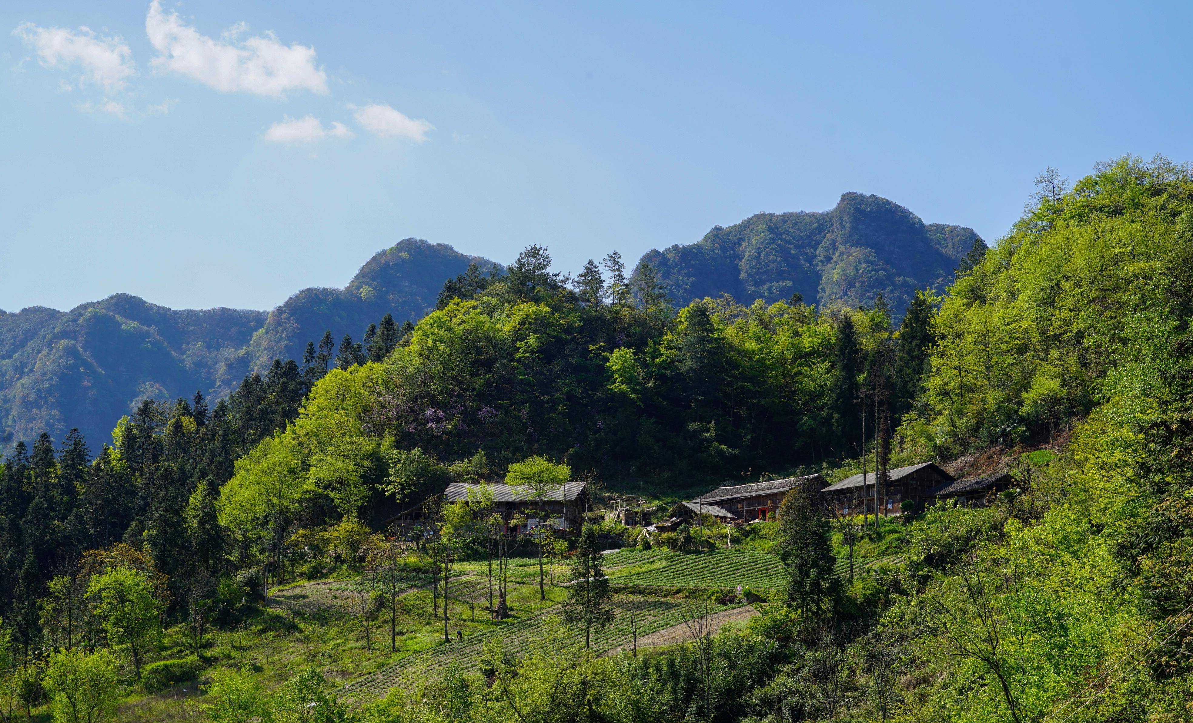 大山房子风景图片图片