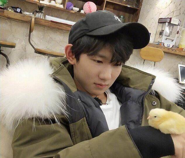 大家都知道王源是一个喜欢小动物的男生,他养过小狗嘟嘟,只不过他太忙