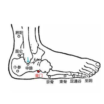 金门穴又称闪腰穴,膀胱经气上行的门户,治疗急性腰扭伤的要穴_穴位