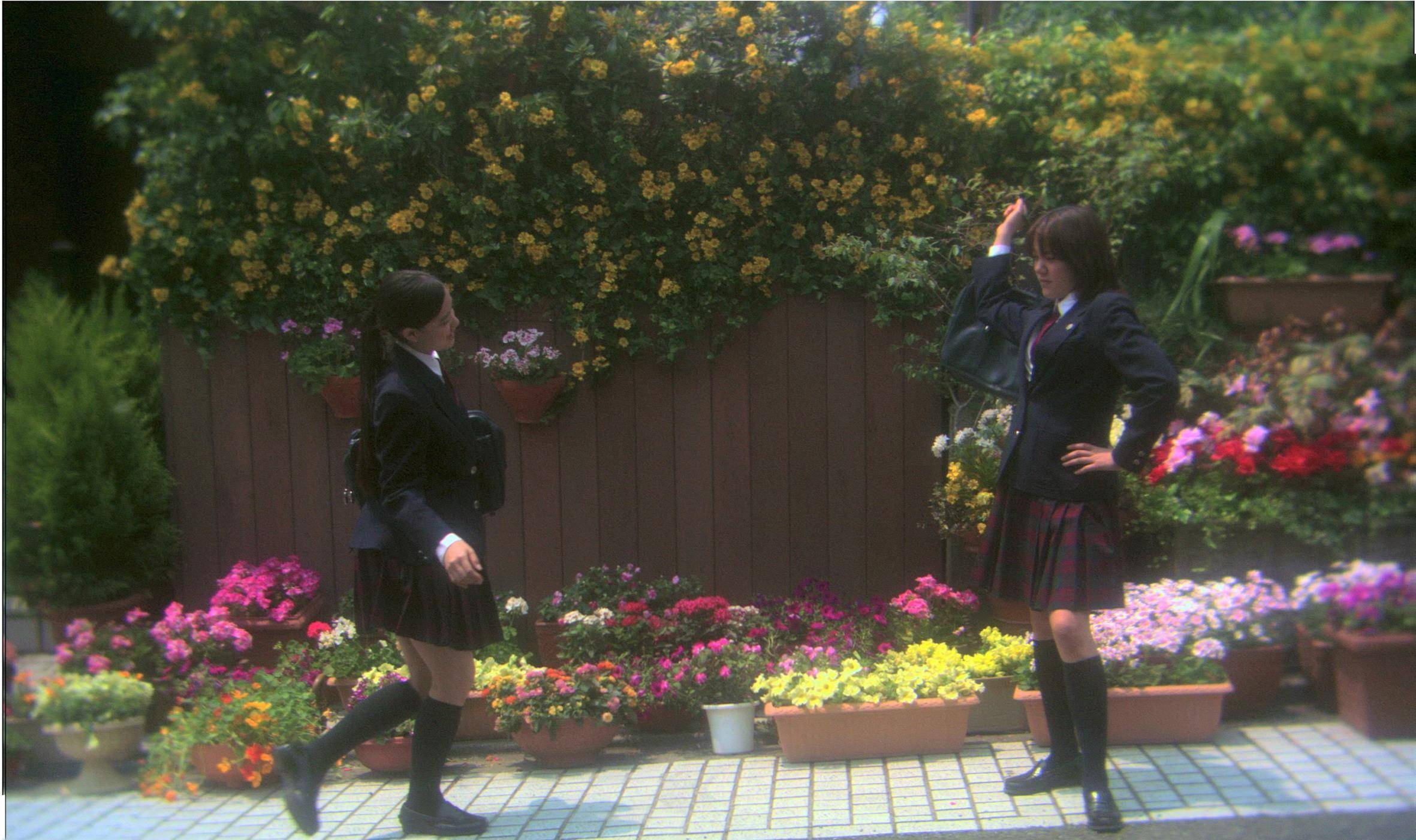 岩井俊二_电影_动画