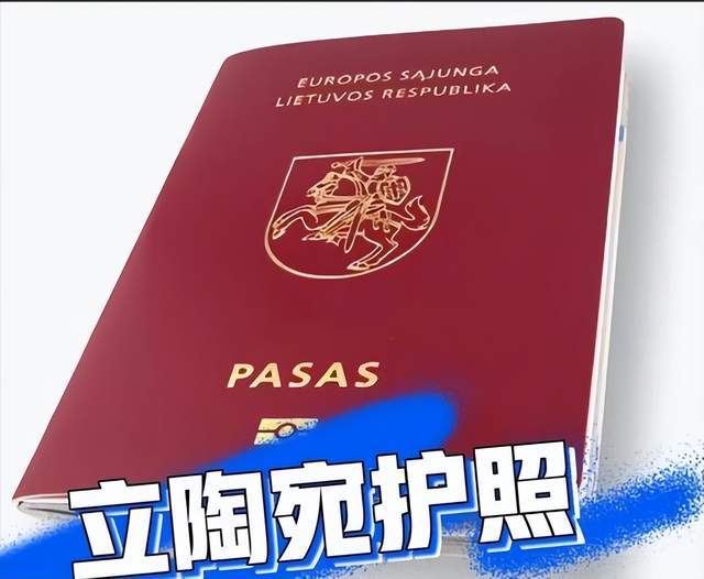 立陶宛政府批准关于国家边界,保护和外国人法律地位的法律修正案_庇护