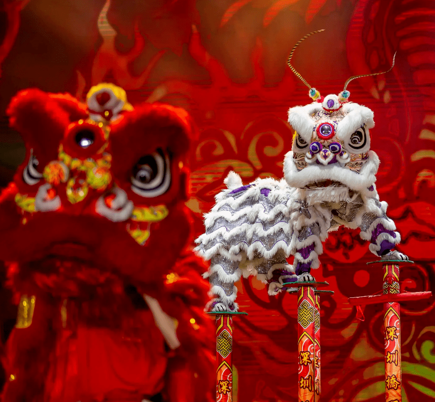 采青等等一系列有趣好玩的为大家进行开年醒狮表演湛江遂溪醒狮表演