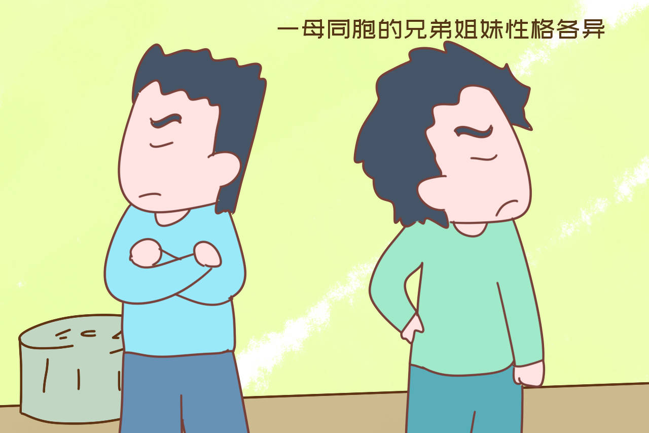 兄弟姐妹反目成仇的家庭,都是父母种下的因,可惜父母不愿承认_弟弟