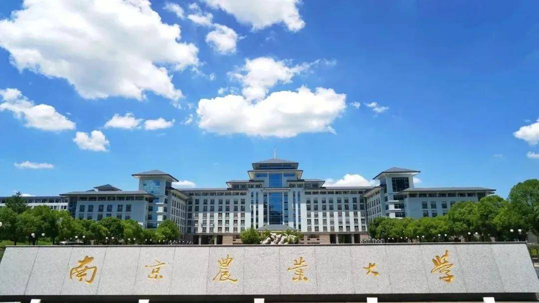 南京林业大学为什么差_南京林业大学的林业_南京林业大学是南大分出来的吗