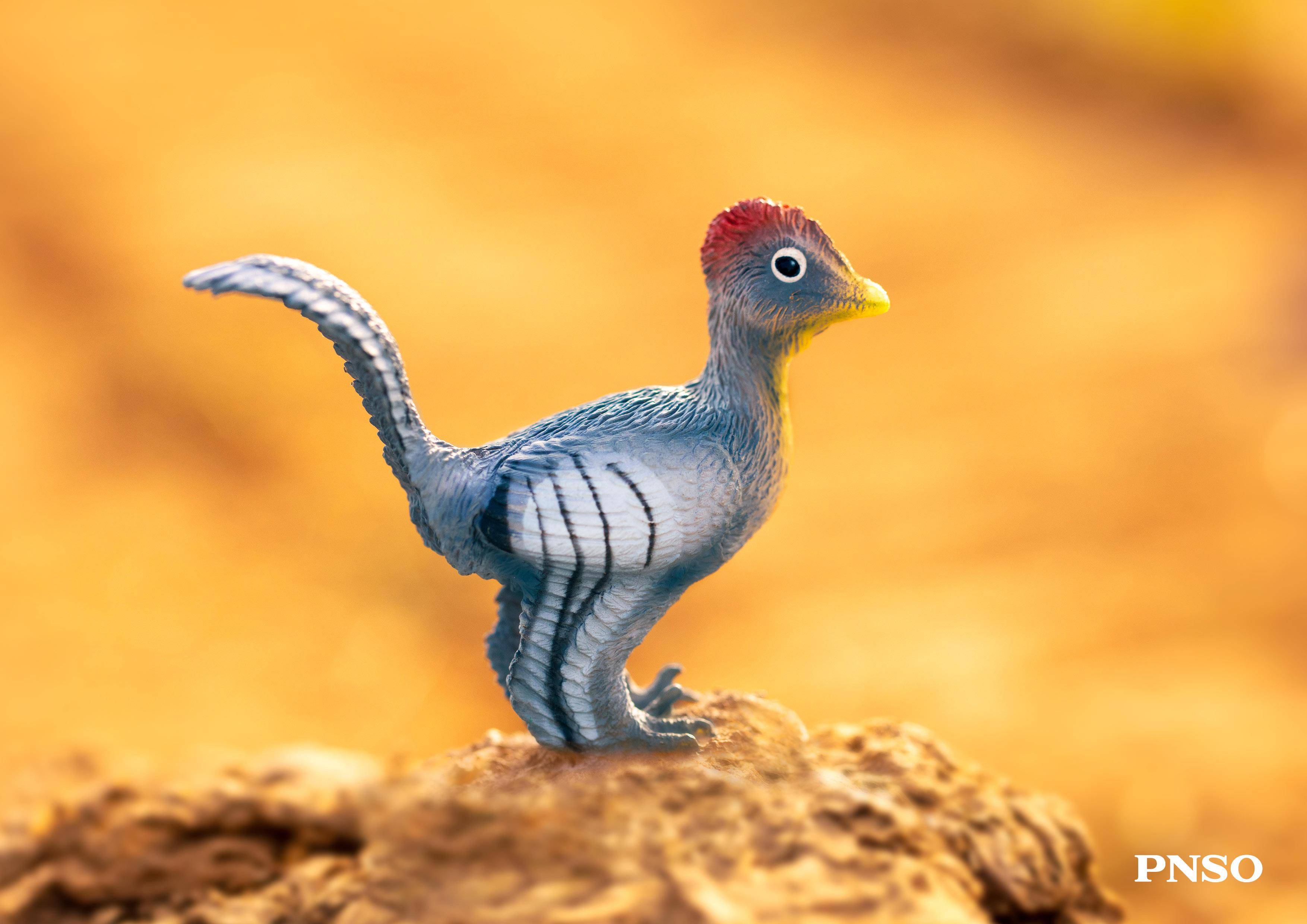 pnso模型摄影:48只小恐龙_角龙_杜克_虔州