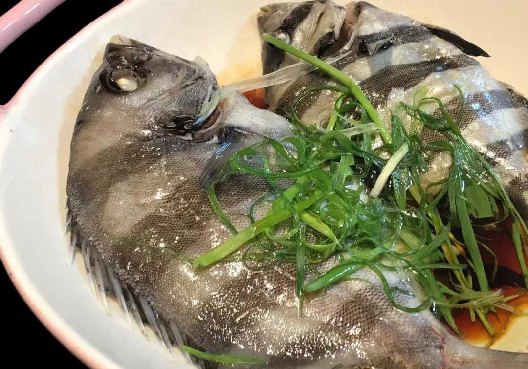 潮爸家2月19日午餐记录,品尝东海梦幻之鱼野生石鲷,这鱼珍贵噢_话说