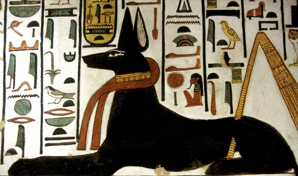 埃及壁画狗头人身图片