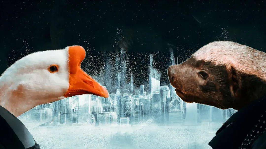 大鹅vs平头哥,到底谁才是干架届的杠把子?_动物界_都会_白鹅