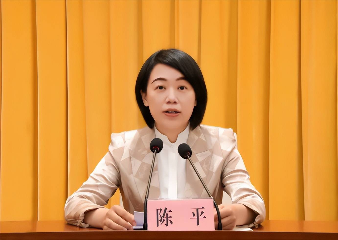 52岁副省长陈平火了,颜值能力双双在线,毕业院校惹人羡慕_岗位_就业