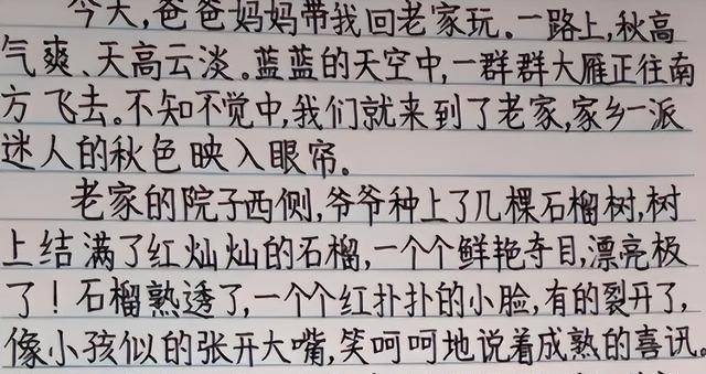 老师晒出学生字迹,在网络上走红,神似钢丝球,遭网友去