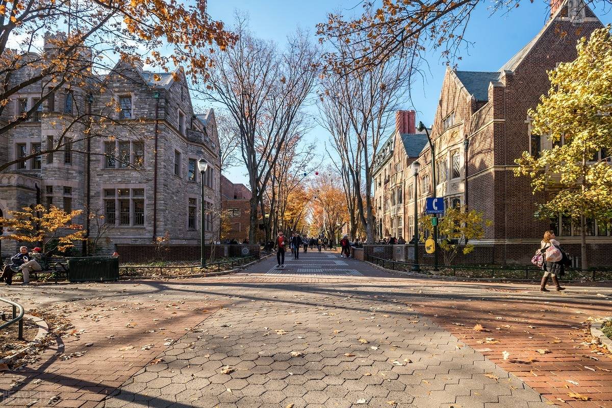 香港大学gpa要求多少留学在线