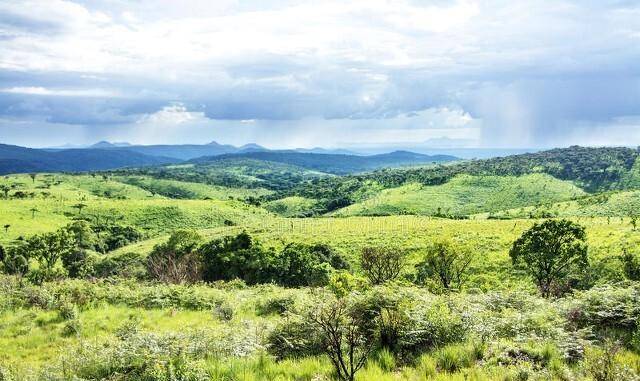 其实赞比亚的生活环境很好,温度适宜,有点像我国云南省的气候类型
