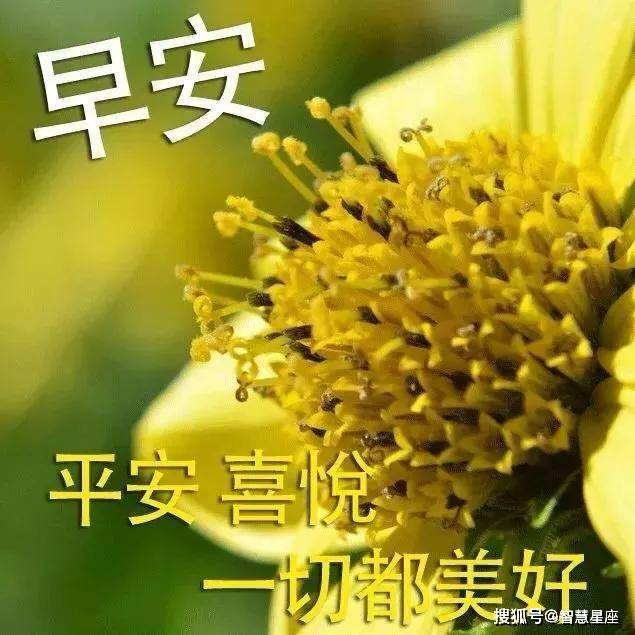 2月1日早安图片大全图片