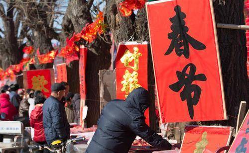 吊蓝花（吊兰怎么养才能更旺盛） 第1张