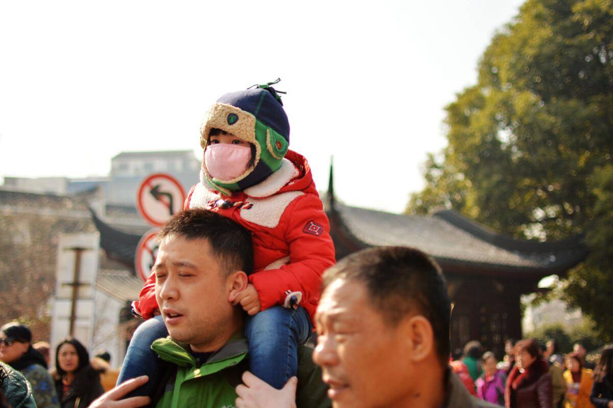 孩子抓海鸥强行塞瓶,父母的处理方式让人愤怒