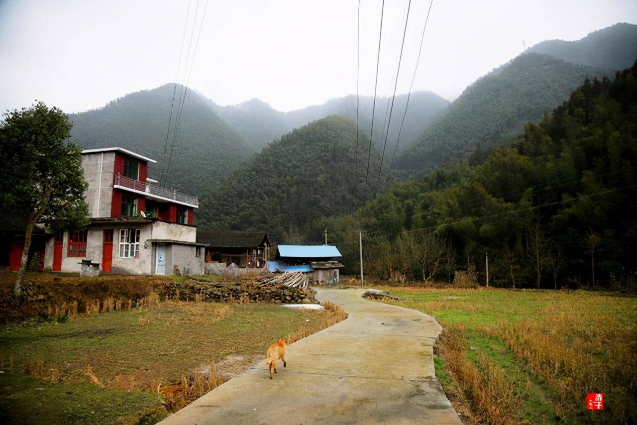 初春时节,大山深处,新宁县水庙镇新桥村风景