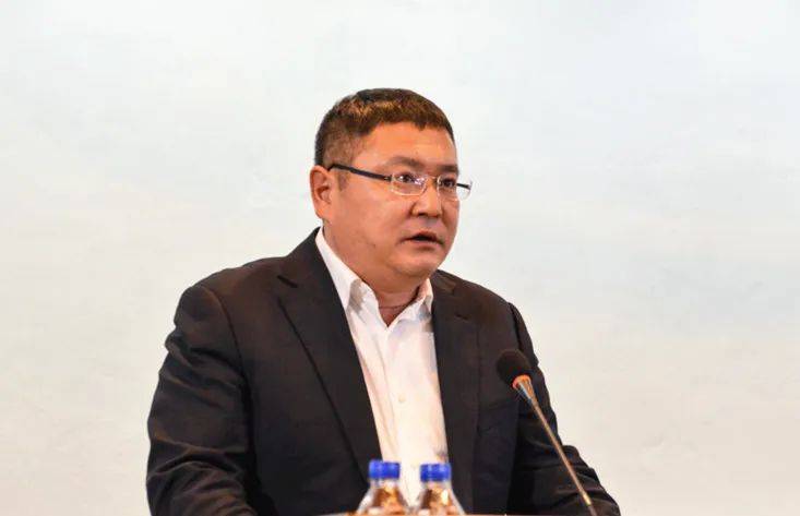 党委委员_国网_董事长