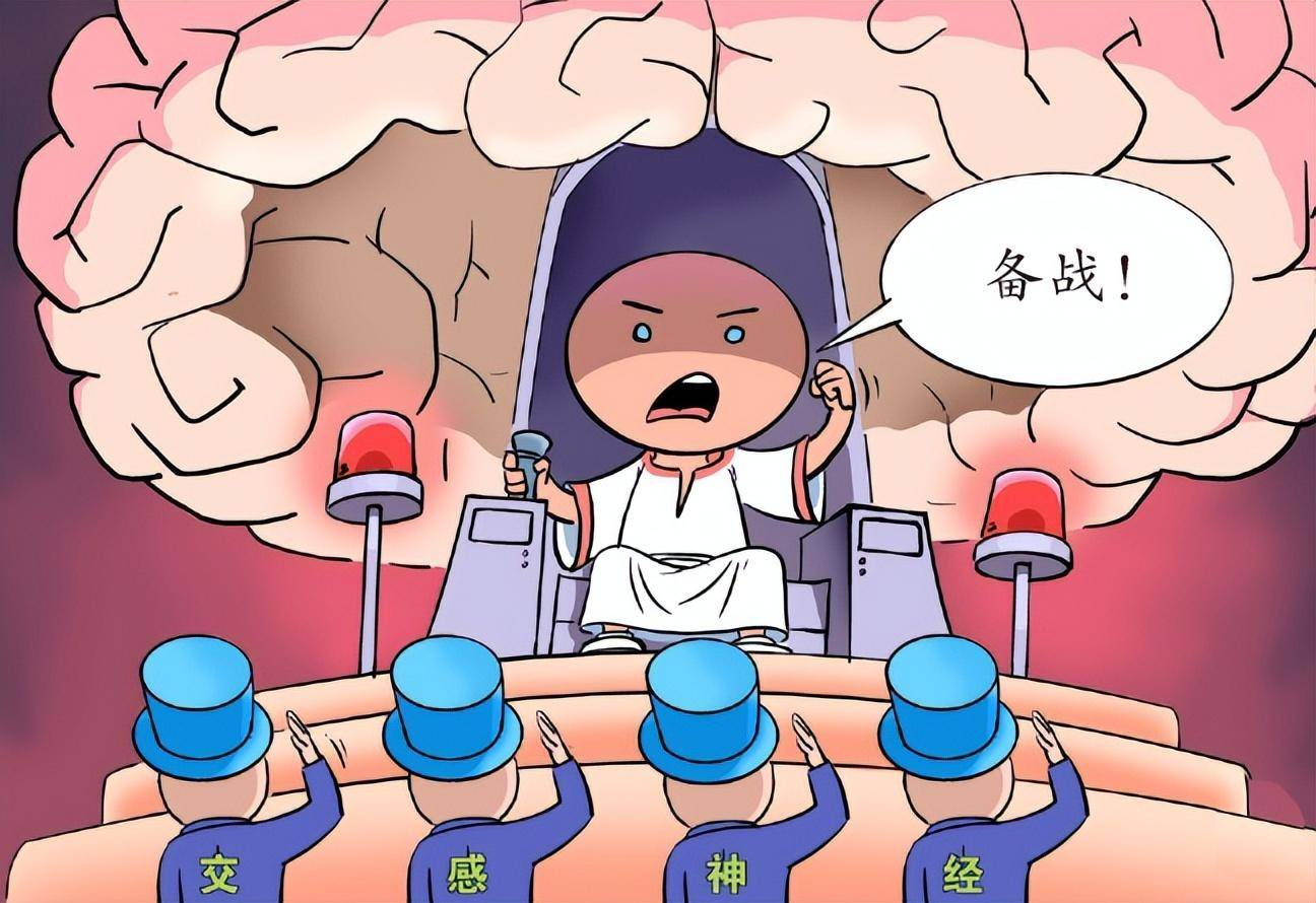 情绪开关"杏仁核,引发交感神经系统兴奋,全身皮质醇,肾上腺素分泌增多