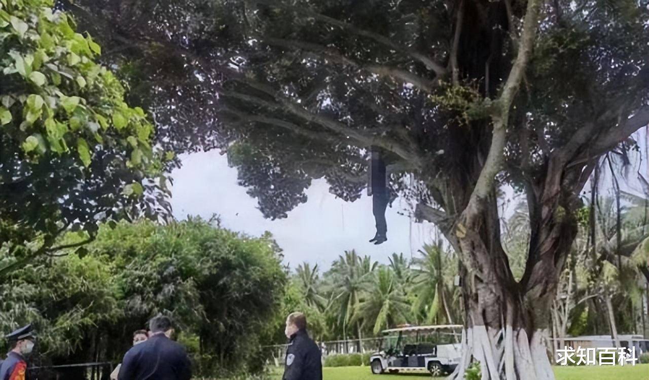 上吊自杀,还是被勒死?什么是"缢吊死"?_绳索_死亡_身体