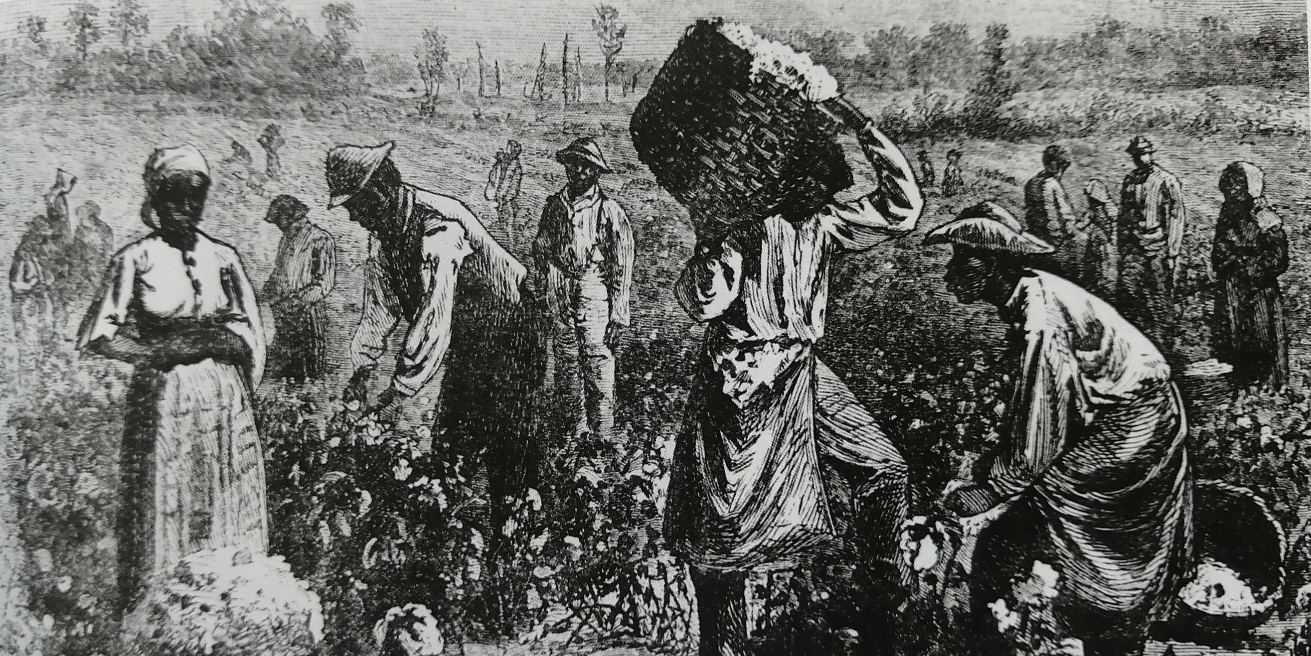 血与棉花的故事:西方用暴力和压迫建立棉花帝国,但中国可以说不