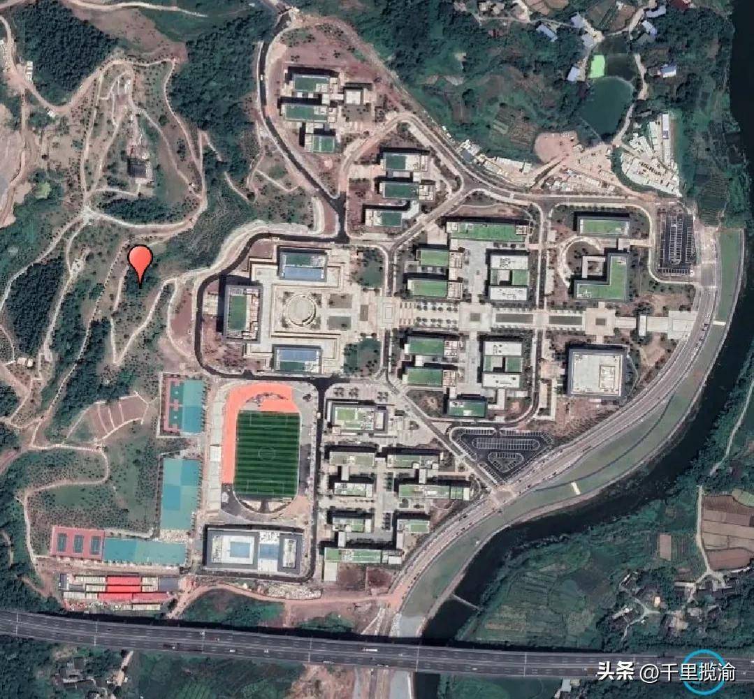 重庆医学格局生变?_璧山_整合_中药