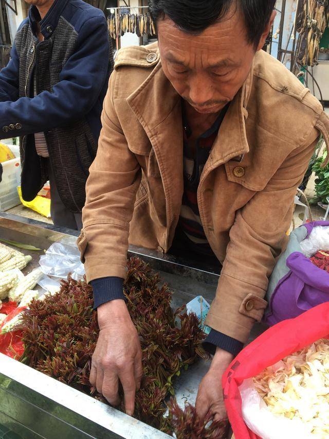 的背包客,来到云南不想走了:深爱上了玉溪的菜市场_蔬菜_地方_华宁县