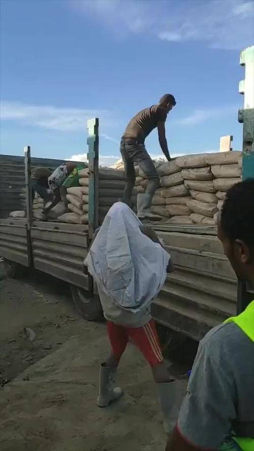 招聘信息一急招搬运工,装卸工,仓库,小工30/小时,300/天包吃包住,最后