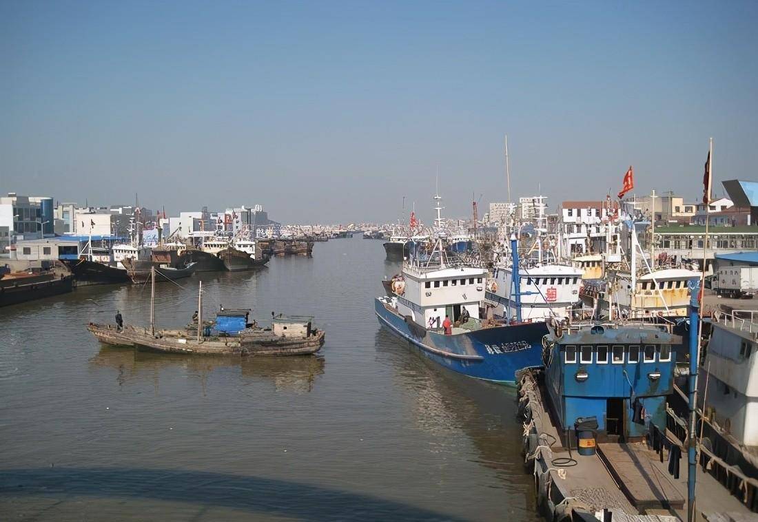 江苏启东游:吕四大洋港海鱼螃蟹丰收_河豚_吕四镇_处理