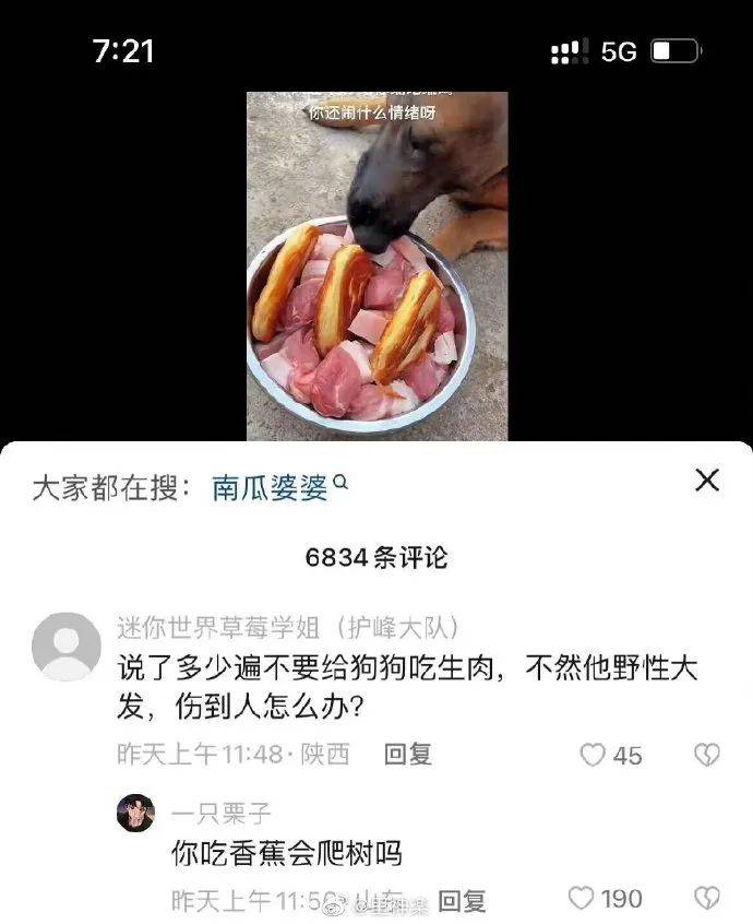 小猫咪在梦里干大事了！丨萌宠的搞笑图集