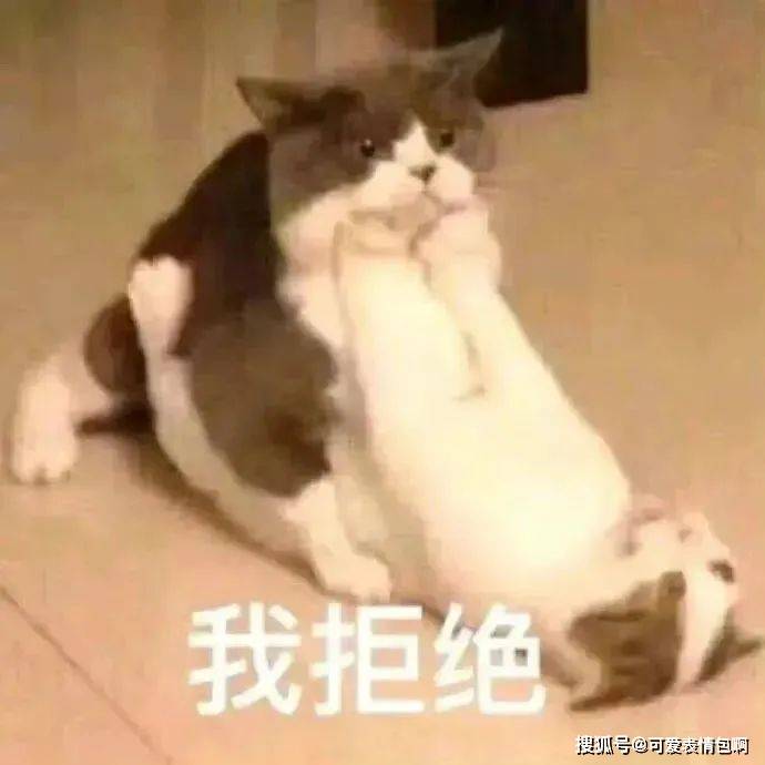 近期微信热门脸色包（有猪猪侠）