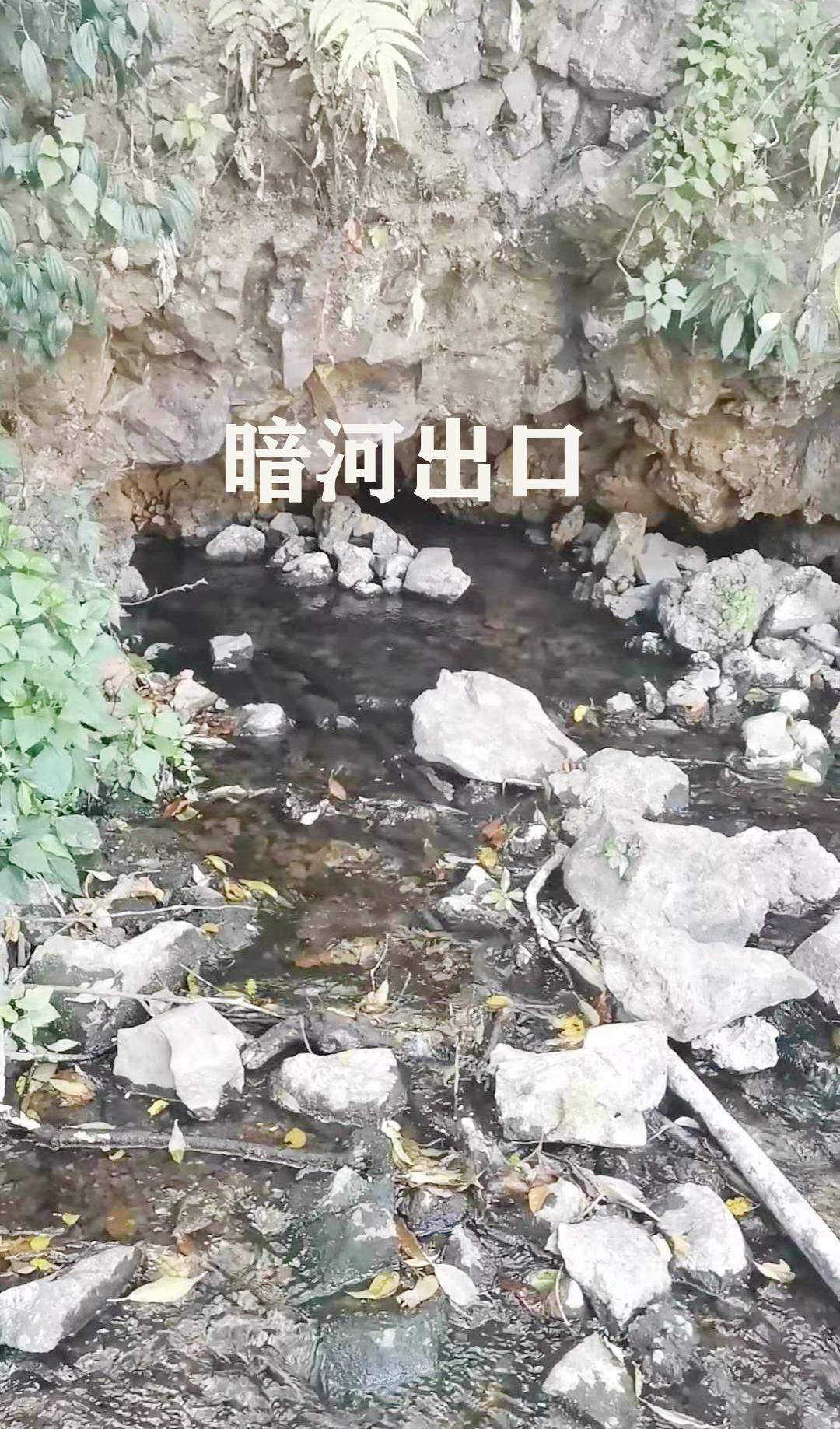 腾冲黑鱼河景区的介绍图片