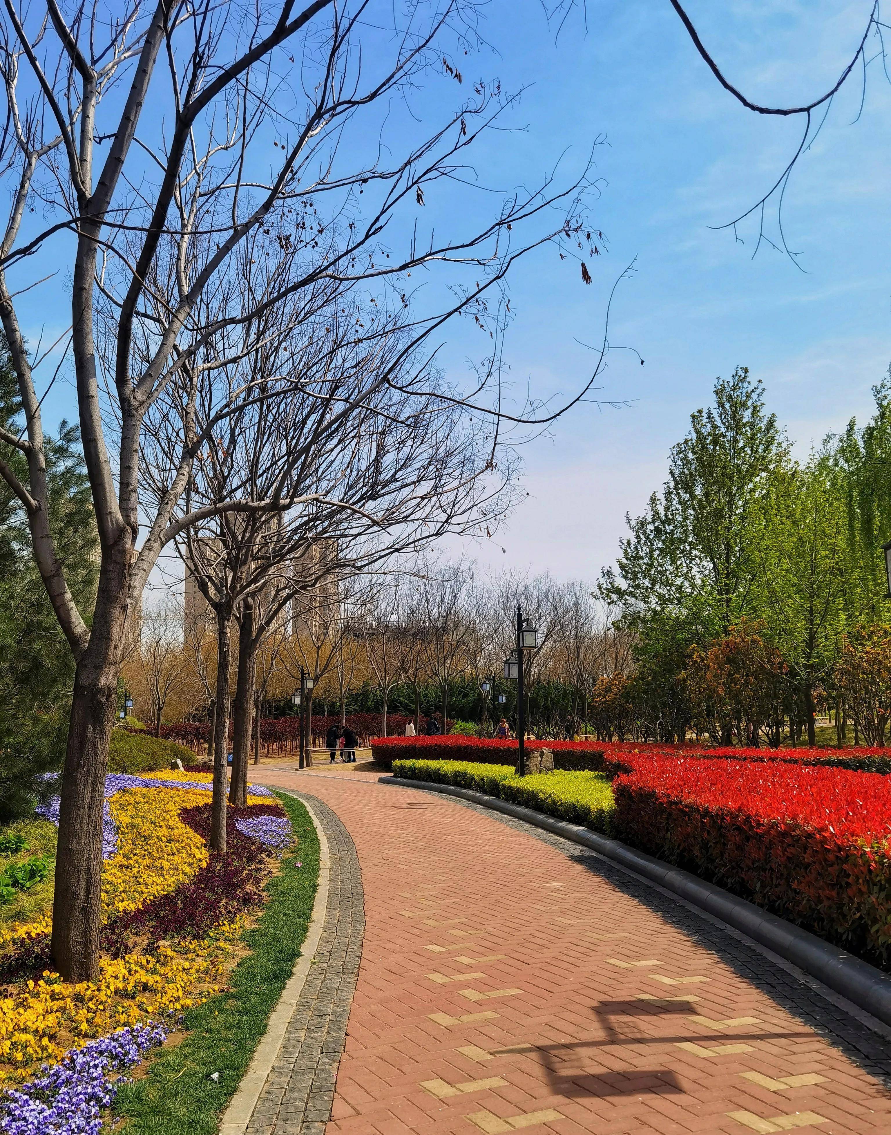 郑州南环公园位置图片