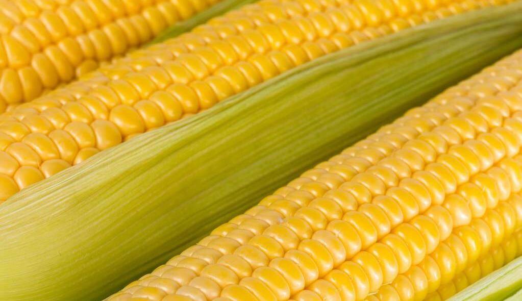 鲜玉米的家常做法,几样食材巧搭配营养足,简单一炒全家人都爱吃_玉米