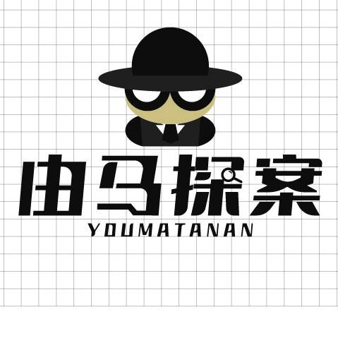 野牛王|企业数字化营销赋能——由马探案_管理_销售_剧本