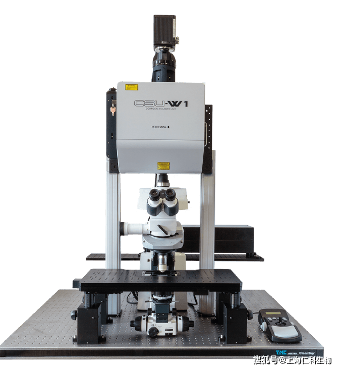 3i vivo intravital活体成像显微镜助力抗血栓药物研究取得新进展